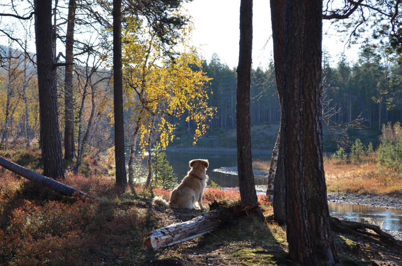 Villa Castillo Saariselkä Exteriör bild