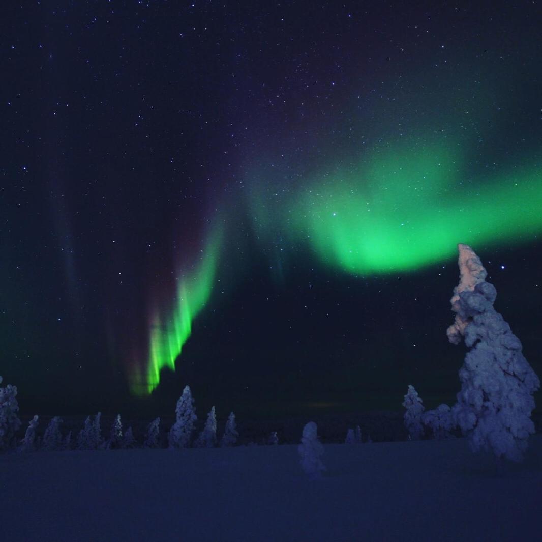 Villa Castillo Saariselkä Exteriör bild